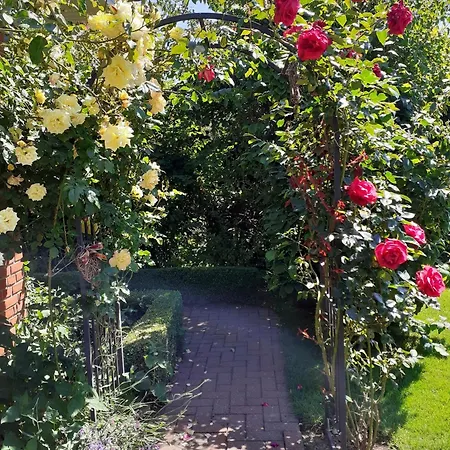 Martens Apartment Gross Wittensee